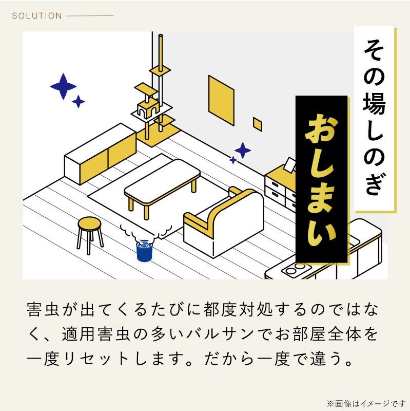 バルサンDX 煙タイプ 12～16畳用 3個 | レック公式オンラインショップ